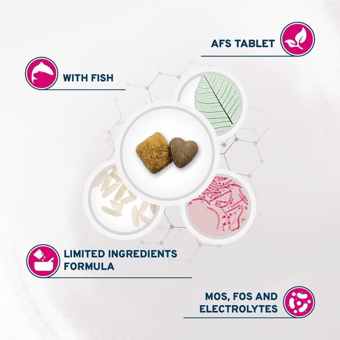 61092 product detail number 1.0