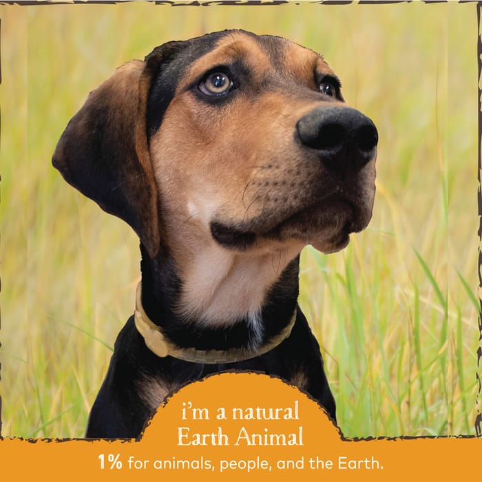 61607 product detail number 1.0