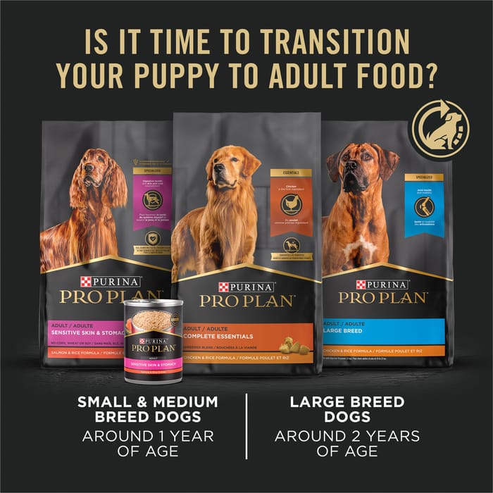 61658 product detail number 1.0