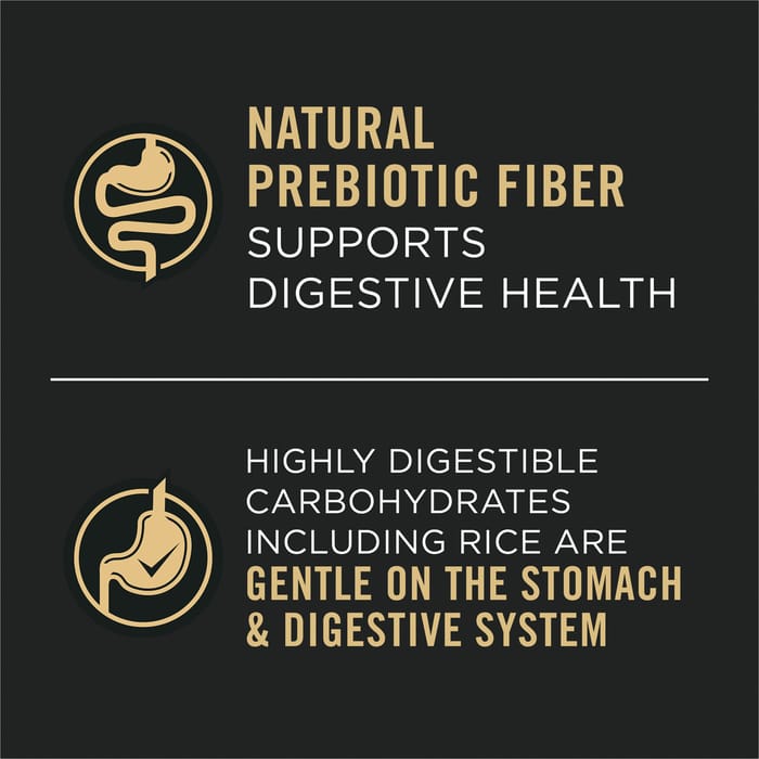 61667 product detail number 1.0