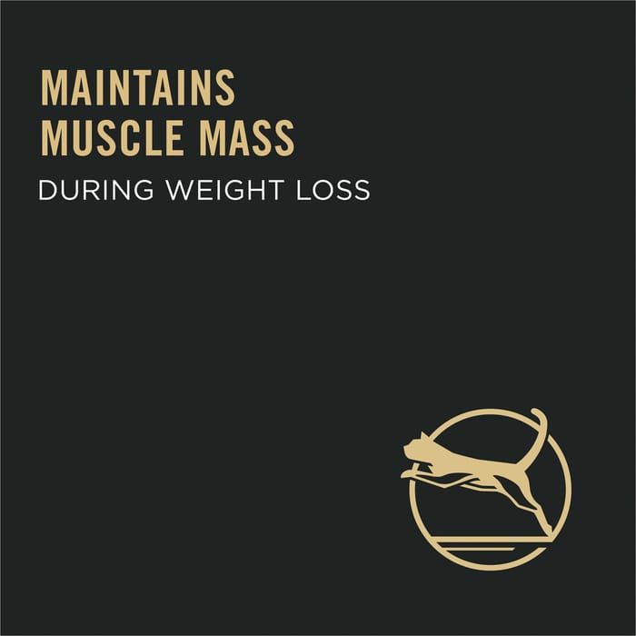 61671 product detail number 1.0