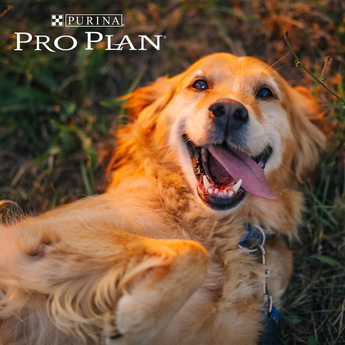 61699 product detail number 1.0