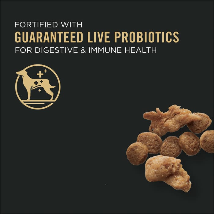 61761 product detail number 1.0