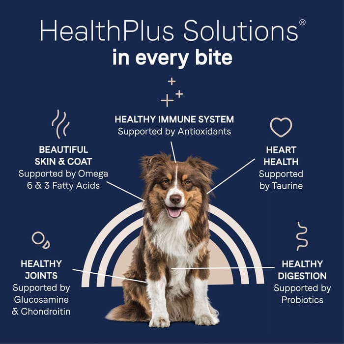 61795 product detail number 1.0