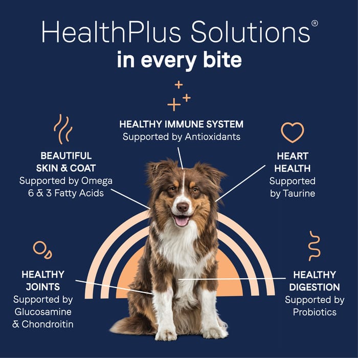 61825 product detail number 1.0