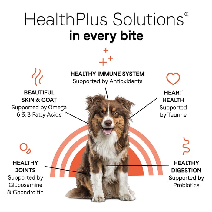 61829 product detail number 1.0