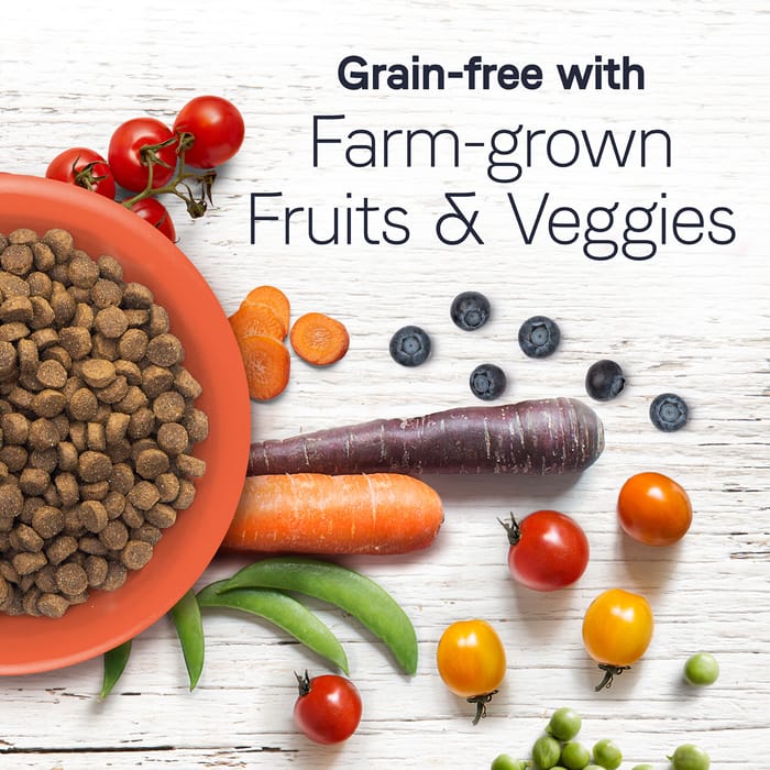 61831 product detail number 1.0