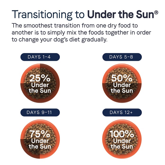 61831 product detail number 1.0