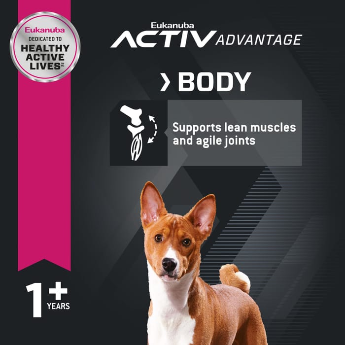 61842 product detail number 1.0