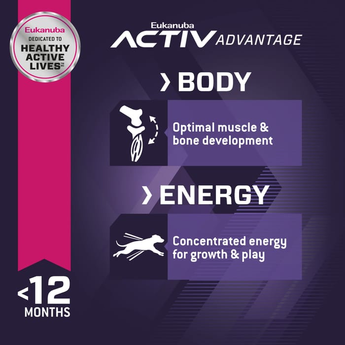 61855 product detail number 1.0