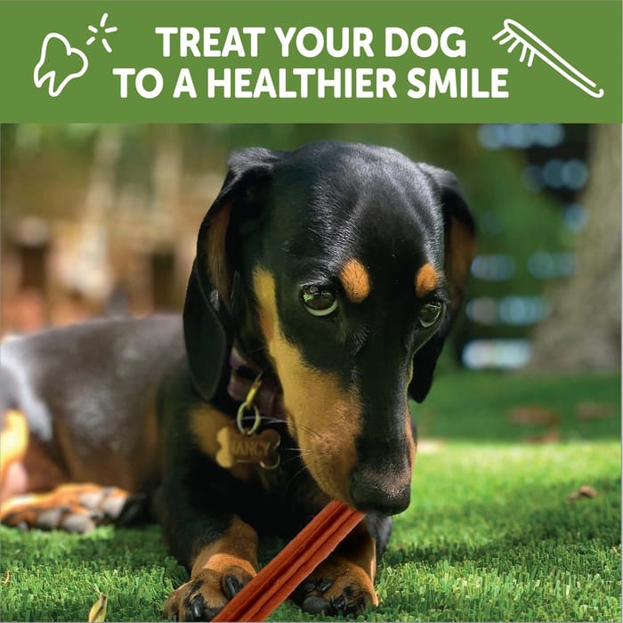 61920 product detail number 1.0