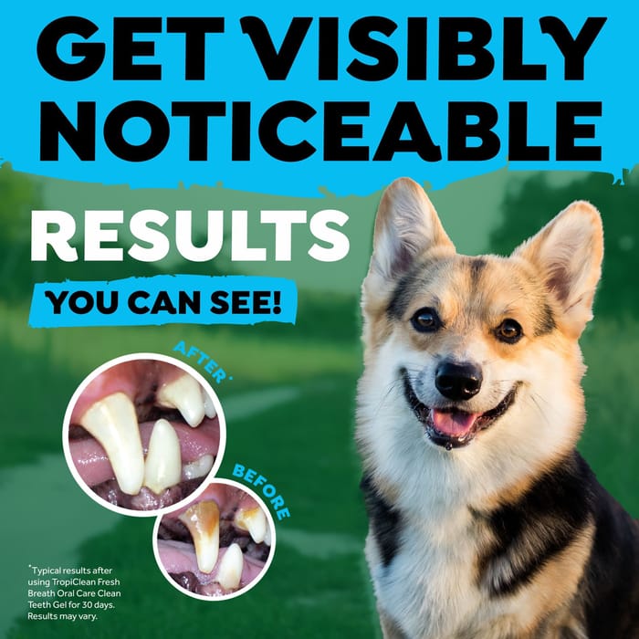 62633 product detail number 1.0