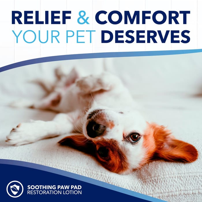 62648 product detail number 1.0