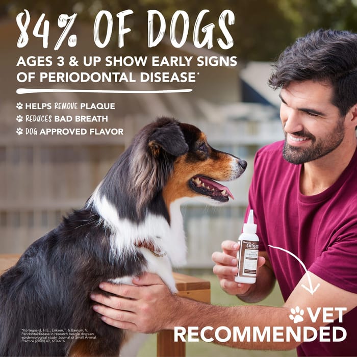 62650 product detail number 1.0