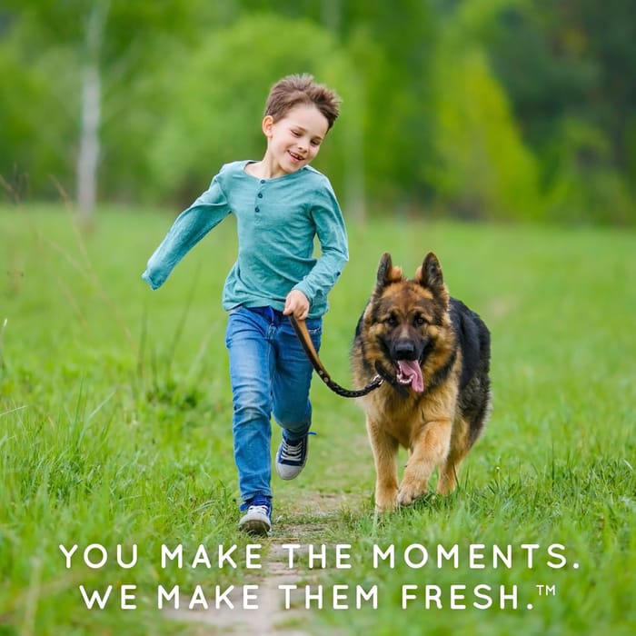 62676 product detail number 1.0