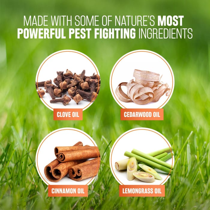 62676 product detail number 1.0