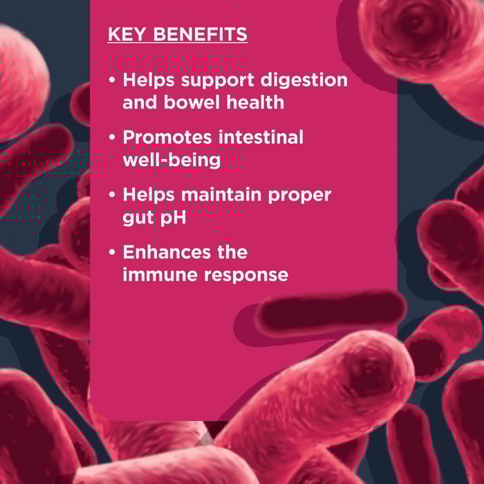 62912 product detail number 1.0