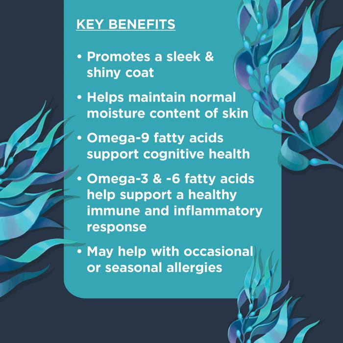 62914 product detail number 1.0