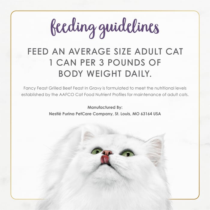 63205 product detail number 1.0