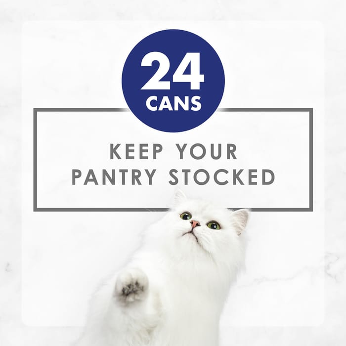 63222 product detail number 1.0