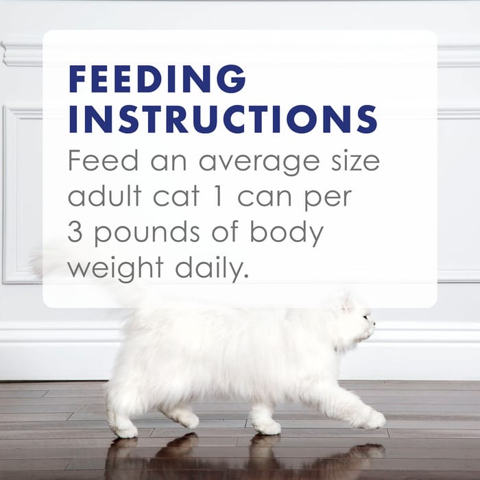 63222 product detail number 1.0