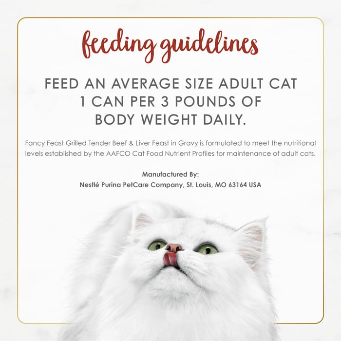 63241 product detail number 1.0