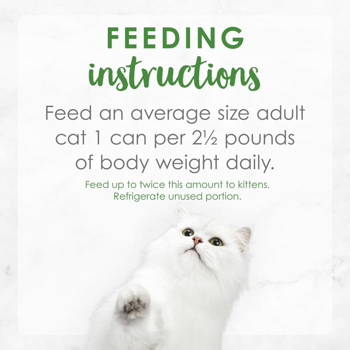 63242 product detail number 1.0