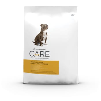 Diamond Care Adult Sensitive Stomach Formula Dry Dog Food - 8 lb Bag-product-tile