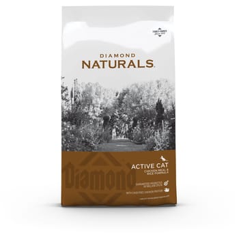 Diamond Naturals Active Cat Chicken Meal & Rice Formula Dry Cat Food - 18 lb Bag-product-tile
