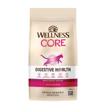 Wellness CORE Digestive Health Salmon & Rice Dry Cat Food - 5 lb Bag-product-tile
