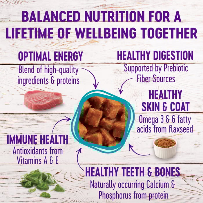 63649 product detail number 1.0