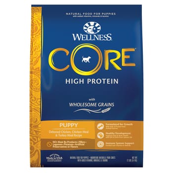 Wellness CORE Natural Wholesome Grains Puppy Recipe Dry Dog Food-product-tile