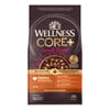 Wellness CORE+ Natural Grained Small Breed Original Turkey & Chicken with Freeze Dried Turkey Dry Dog Food - 10 lb Bag