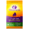 Wellness Complete Health Natural Grain Free Lamb Dry Dog Food - 24 lb Bag