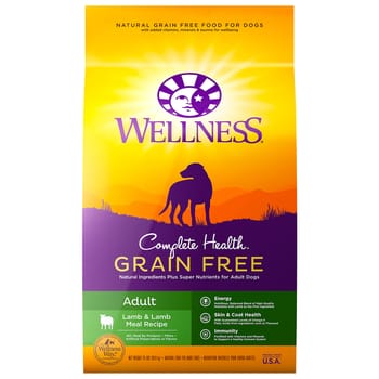 Wellness Complete Health Natural Grain Free Lamb Dry Dog Food - 24 lb Bag-product-tile