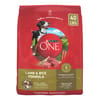 Purina ONE Natural SmartBlend Lamb & Rice Dry Dog Food 40 lb Bag