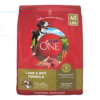 Purina ONE Natural SmartBlend Lamb & Rice Dry Dog Food 40 lb Bag-product-tile