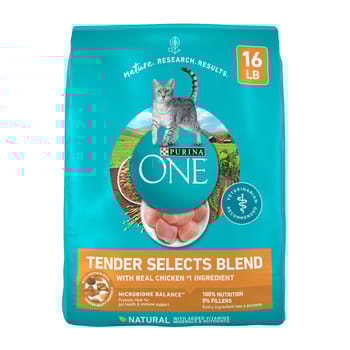 Purina ONE Tender Selects Blend Real Chicken Dry Cat Food-product-tile