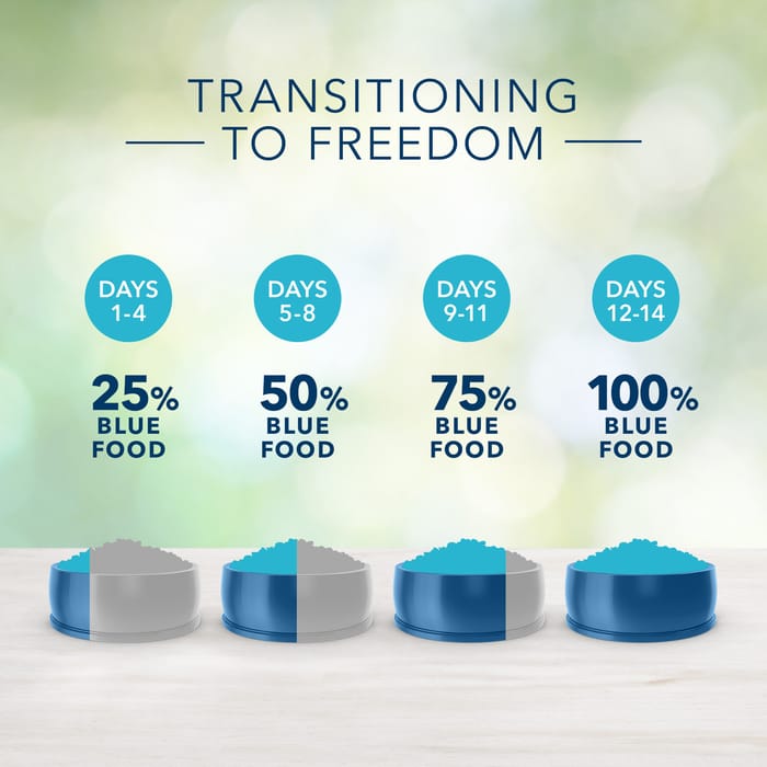 63964 product detail number 1.0