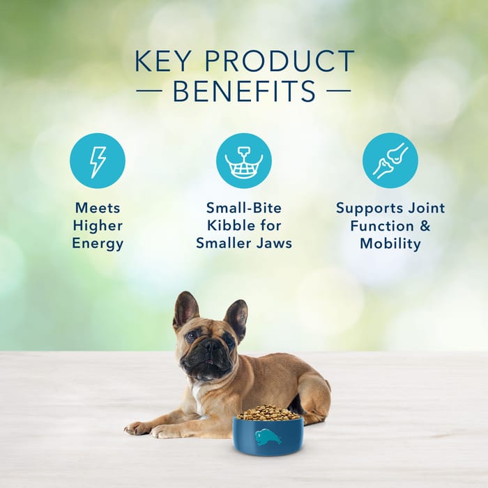 64101 product detail number 1.0