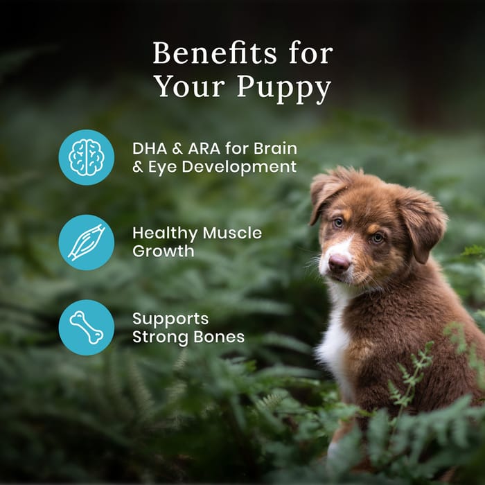 64118 product detail number 1.0