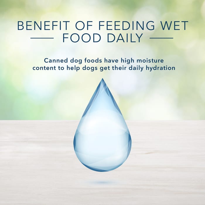 64161 product detail number 1.0