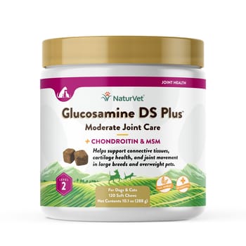 NaturVet Glucosamine DS Plus Soft Chews 120ct-product-tile