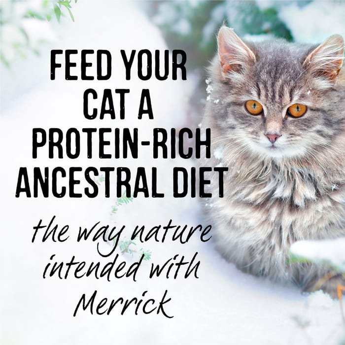 64929 product detail number 1.0