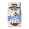 Merrick Backcountry Raw Infused with Healthy Grains Puppy Dry Dog Food 10-lb