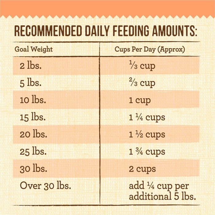 65091 product detail number 1.0