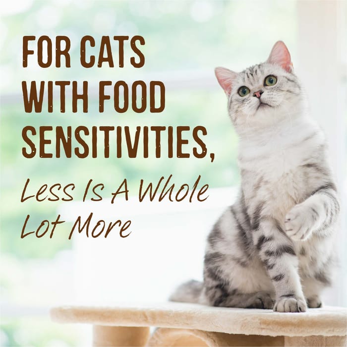 65095 product detail number 1.0