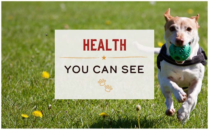 65109 product detail number 1.0