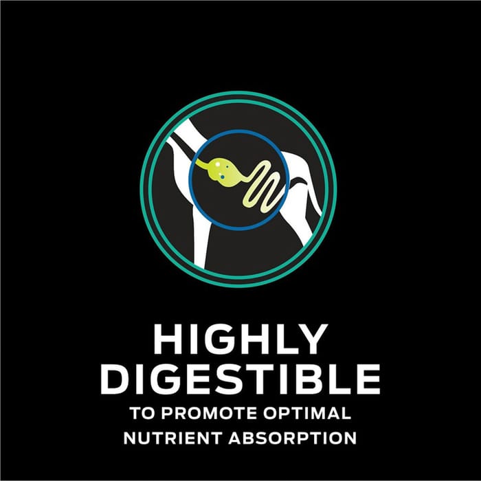 66080 product detail number 1.0