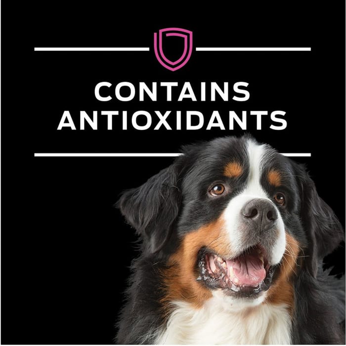 66129 product detail number 1.0